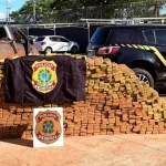 Polícia Federal Realiza Grande Apreensão de Maconha em Três Lagoas