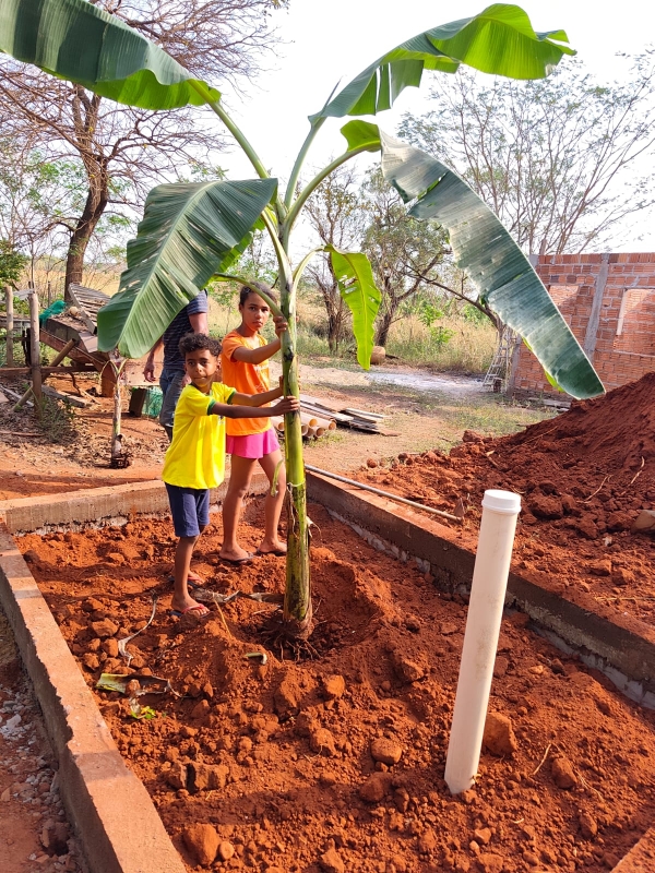 Noticia fossa-de-bananeira-leva-solucao-de-saneamento-a-familias-as-margens-do-rio-tiete-em