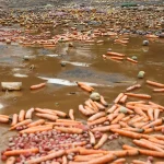 Chuvas Intensificam Problemas no Interior Paulista