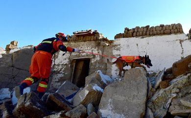 Bombeiro realiza operação de busca e resgate com cão farejador após terremoto no Tibete 08/01/2025 cnsphoto via REUTERS