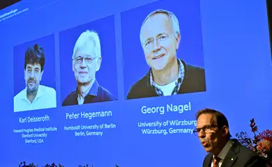 Karl Deisseroth, Peter Hegemann e Georg Nagel ganham Nobel de Fisiologia ou Medicina de 2026 5 de outubro de 2026 Agência de Notícias TT/Pontus Lundahl/via REUTERS