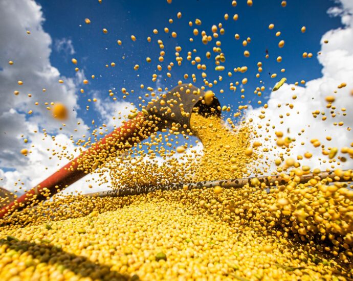 Estudo aponta perda de até 55% na produtividade da soja sem controle de pragas e doenças