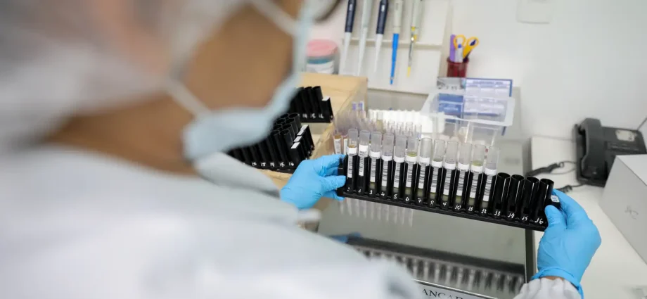 Anvisa Autoriza Testes em Humanos da Primeira Vacina Brasileira Contra Malária