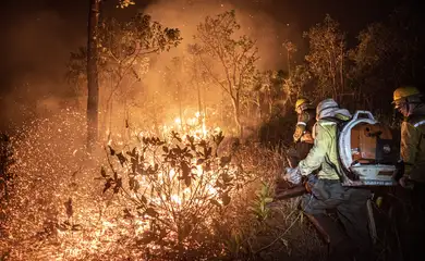 Brasília (DF) 12/09/2024 - Brigadistas do Prevfogo/Ibama e ICMBio combatem incêndios florestais na Terra Indígena Tenharim/Marmelos, no Amazonas Foto: Mayangdi Inzaulgarat/Ibama