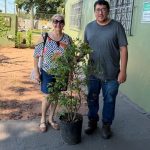 Doação de Muda Frutífera Promove Formação de Pomar Urbano em Andradina