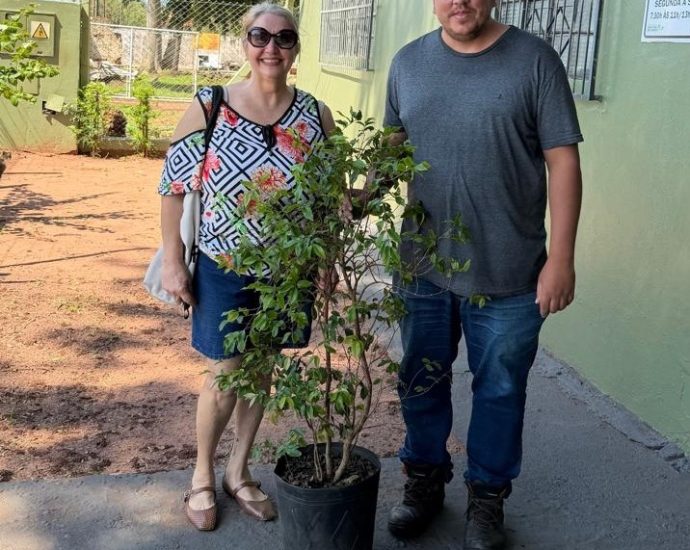 Doação de Muda Frutífera Promove Formação de Pomar Urbano em Andradina