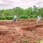 Recuperação Ambiental em Andradina: Plantio de Árvores no Jardim Bela Vista