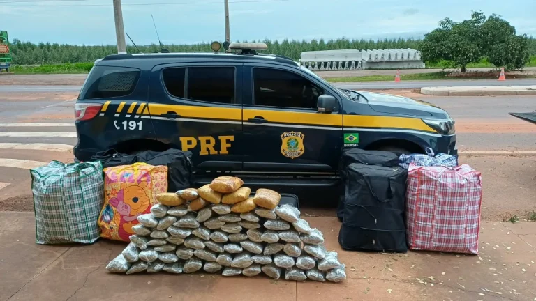 PRF apreende 253 kg de drogas em ônibus na BR-262, em Três Lagoas