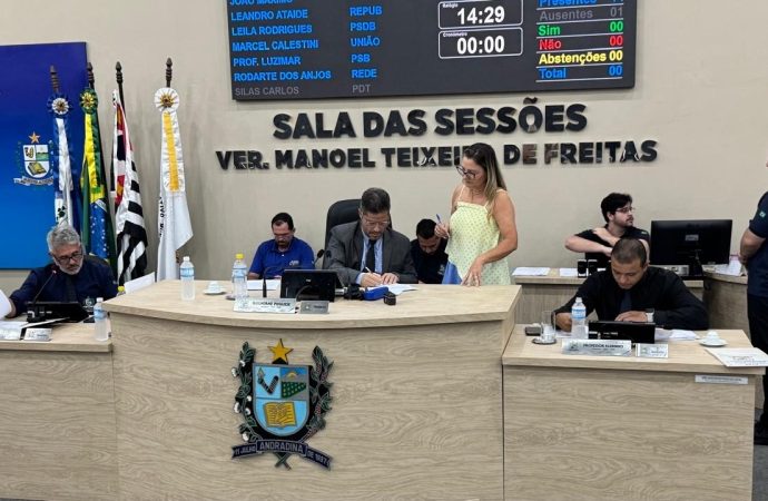 Câmara Municipal de Andradina Avalia Oito Propostas na 34ª Sessão Ordinária