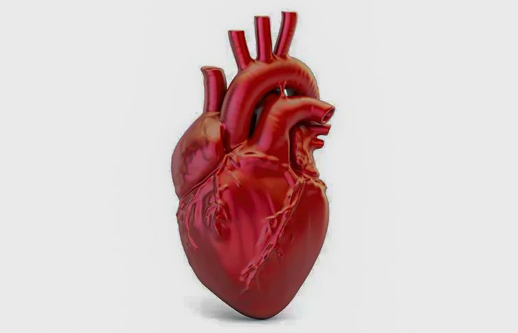 Crescimento Alarmante das Mortes por Doenças Cardiovasculares no Brasil