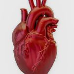 Crescimento Alarmante das Mortes por Doenças Cardiovasculares no Brasil