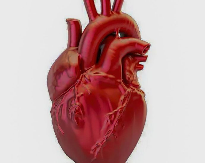 Crescimento Alarmante das Mortes por Doenças Cardiovasculares no Brasil