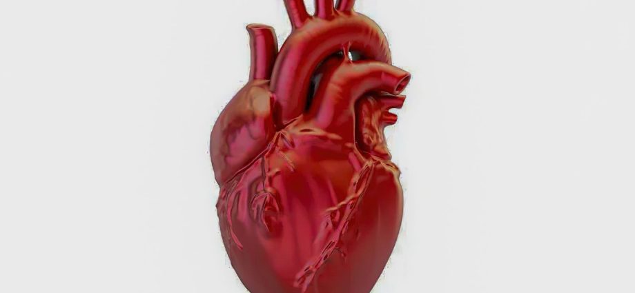 Crescimento Alarmante das Mortes por Doenças Cardiovasculares no Brasil