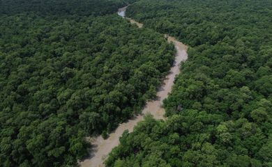Bragança (PA), 12/06/2025 – Vista de um braço do Rio Caeté em área de manguezal na Reserva Extrativista Marinha de Caeté-Taperaçu monitorada pelo projeto Mangues da Amazônia. Foto: Fernando Frazão/Agência Brasil