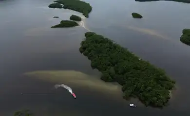 Paranaguá (PR), 18/05/2026 – Manguezal na Baía de Paranaguá, área da Grande Reserva da Mata Atlêntica, onde ocorre monitoramento por pesquisadores do Programa de Recuperação da Biodiversidade Marinha (Rebimar). Foto: Fernando Frazão/Agência Brasil