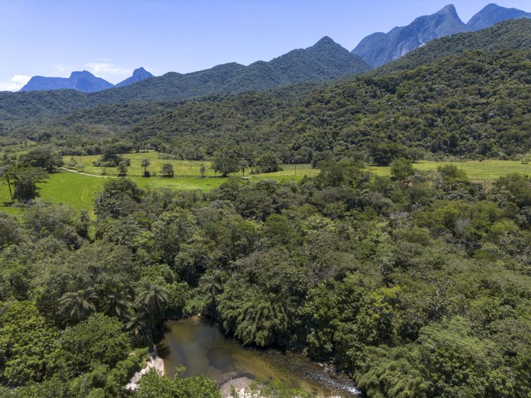 Brasil reduz área de vegetação nativa fragmentada, mas número de trechos isolados cresce