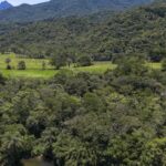 Brasil reduz área de vegetação nativa fragmentada, mas número de trechos isolados cresce