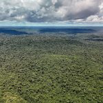 Desmatamento na Amazônia atinge menor nível em 41 anos, segundo MapBiomas