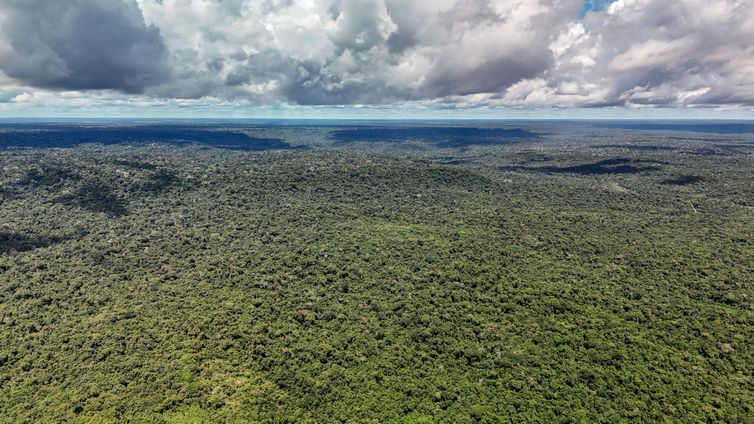 Desmatamento na Amazônia atinge menor nível em 41 anos, segundo MapBiomas