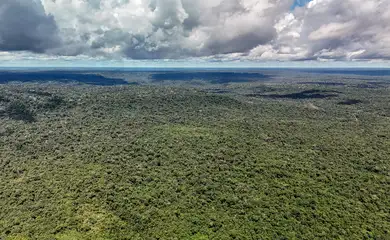 14/05/2026 - Belterra - Floresta Nacional do Tapajós - Pará - Na comunidade de Piquiatuba, dentro da Floresta Nacional do Tapajós, Elton Vasconcelos criou um negócio que une culinária regional, turismo de experiência e desenvolvimento comunitário. A Casa do Eltom virou referência para visitantes que buscam viver a Amazônia real: sabores locais, trilhas, hospitalidade e conexão com a floresta. E é exemplo vivo do turismo de base comunitária. O empreendimento agora amplia sua atuação com passeios turísticos e hospedagem, incluindo a implantação de chalés após conseguir aporte de R$ 200 mil de investidores e alta demanda já na fase inicial. Foto: Rafa Neddermeyer/Agência Brasil