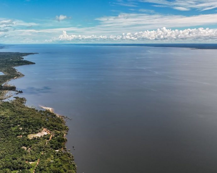 Propostas Ambientais de Flávio Bolsonaro e Lula: Uma Análise Comparativa