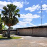 Embrapa é Reconhecida como Centro de Referência em Florestas Plantadas pela FAO