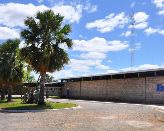 Embrapa é Reconhecida como Centro de Referência em Florestas Plantadas pela FAO