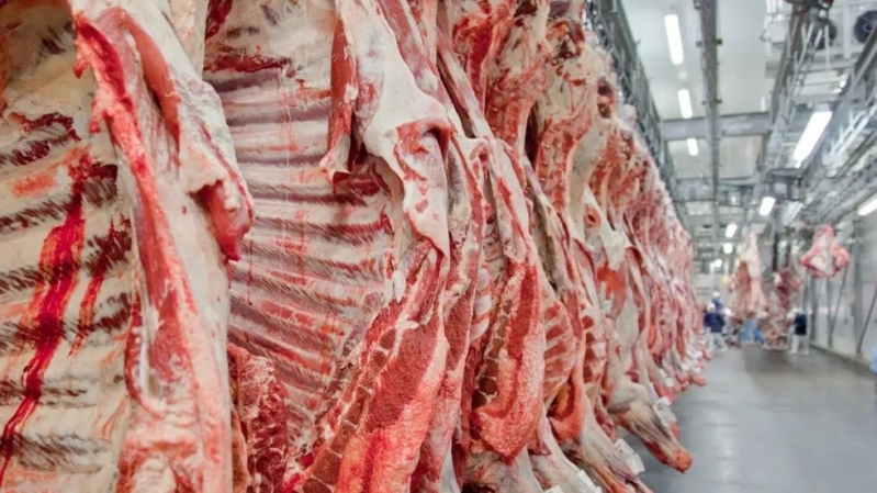 Noticia andradina-esta-nas-top10-exportadoras-de-carne-do-brasil