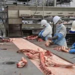 MPT-MS fiscaliza frigorífico da Seara/JBS em Sidrolândia para avaliar saúde e segurança dos trabalhadores
