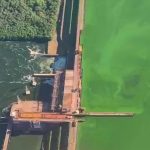Conflito entre Melhoria da Qualidade da Água e Proliferação de Algas no Rio Tietê