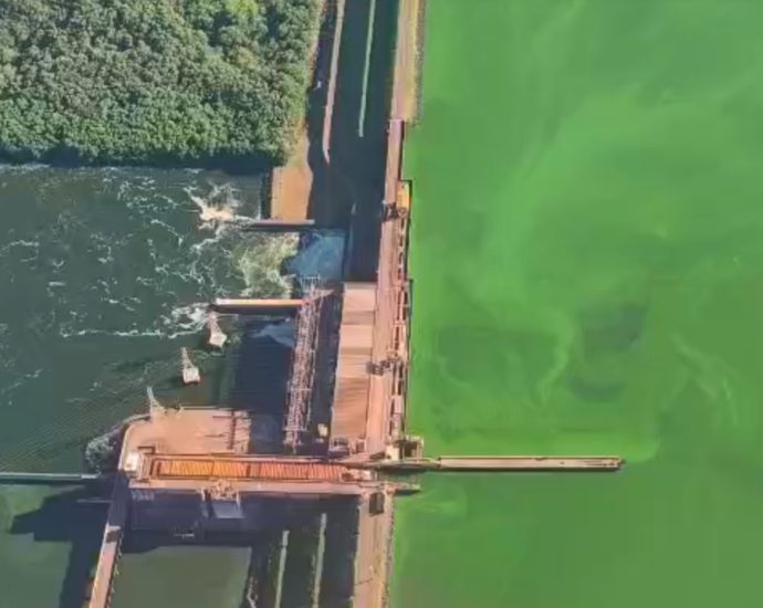 Conflito entre Melhoria da Qualidade da Água e Proliferação de Algas no Rio Tietê