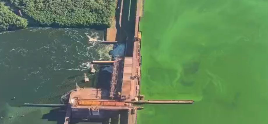Conflito entre Melhoria da Qualidade da Água e Proliferação de Algas no Rio Tietê