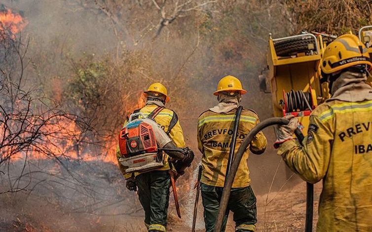 Governo Federal Intensifica Ações contra Queimadas no Amazonas Após Decretação de Emergência