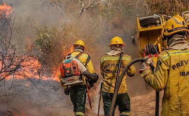 Agente do Ibama faz trabalha de contenção de queimadas e incêndio no Amazonas. Foto: Vinícius Mendonça/Ibama