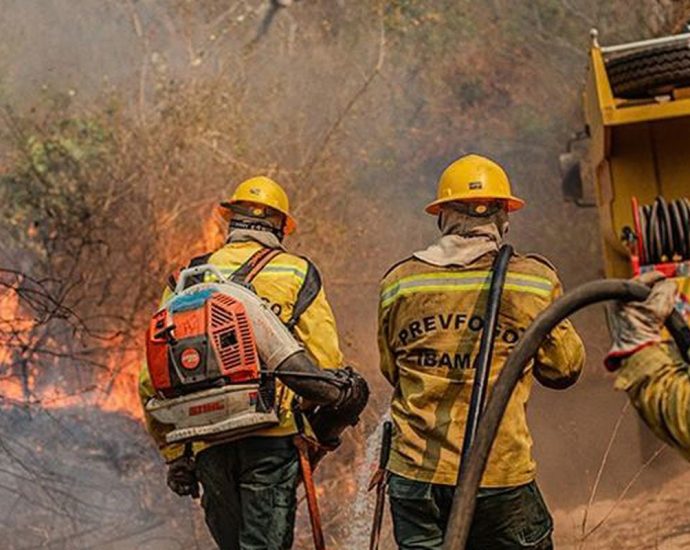 Governo Federal Intensifica Combate às Queimadas no Amazonas com Força-Tarefa Aérea