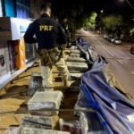 PRF apreende 1,7 tonelada de maconha escondida em carga de soja no Paraná