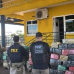PRF e Polícia Civil do DF apreendem 3,5 toneladas de skunk em caminhão na BR-153, em Morrinhos (GO)
