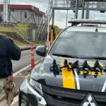 PRF apreende sete pistolas na BR-386, em Fontoura Xavier