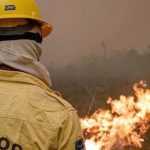 Queda nos Focos de Incêndio no Amazonas Após Ações de Combate
