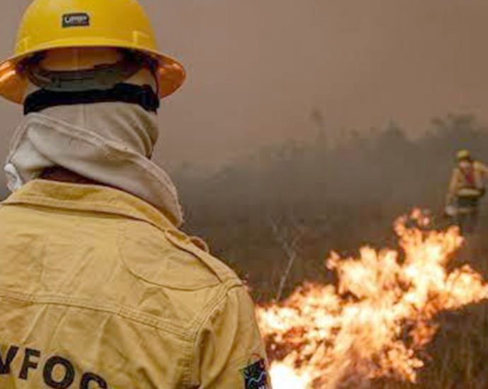 Queda nos Focos de Incêndio no Amazonas Após Ações de Combate
