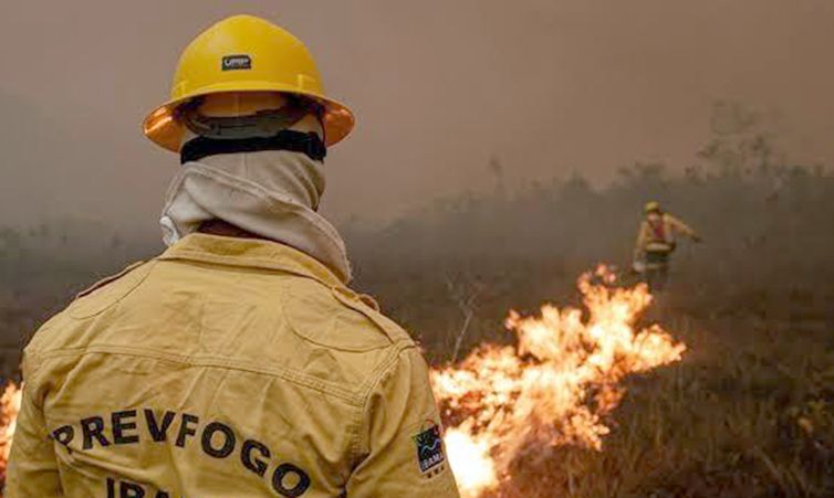 Queda nos Focos de Incêndio no Amazonas Após Ações de Combate