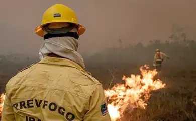 Agente do Ibama faz trabalha de contenção de queimadas e incêndio no Amazonas. Foto: Ibama/Divulgação