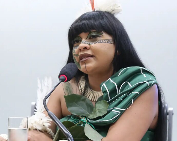 Indígenas Guarani Kaiowá denunciam suposto envenenamento de água após eleições
