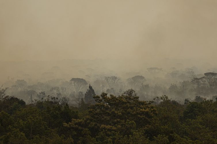 Força Nacional do SUS amplia atendimento no Amazonas após incêndios florestais