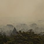 Força Nacional do SUS amplia atendimento no Amazonas após incêndios florestais