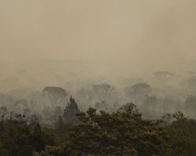 Força Nacional do SUS amplia atendimento no Amazonas após incêndios florestais