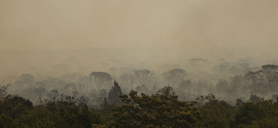 Força Nacional do SUS amplia atendimento no Amazonas após incêndios florestais