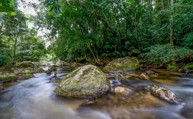 São Paulo-SP, Foto feita em 02/05/2013, O Parque Estadual do Rio Turvo (PERT) é um parque estadual de São Paulo criado em 21 de fevereiro de 2008 (16 anos) a partir do antigo Parque Estadual de Jacupiranga. Integra o Mosaico de Unidades de Conservação do Jacupiranga, sendo uma das maiores porções de Mata Atlântica do Brasil. . Foto: Rafa Neddermeyer/Agência Brasil