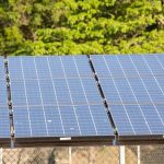 5º Leilão do Eco Invest Brasil: Quase R$ 50 Bilhões para Investimentos Verdes