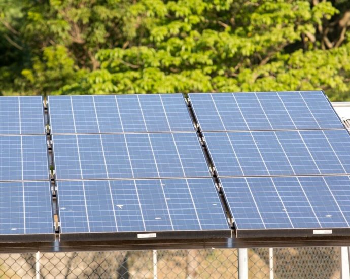 5º Leilão do Eco Invest Brasil: Quase R$ 50 Bilhões para Investimentos Verdes